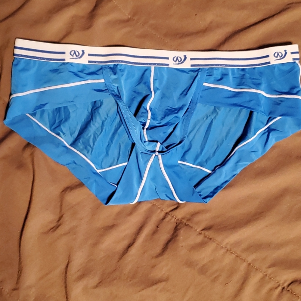 Blue Briefs